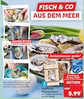 Pazifische Felsenaustern für 5,99 € bei Kaufland im Angebot Pazifische Felsenaustern im aktuellen Kaufland Prospekt