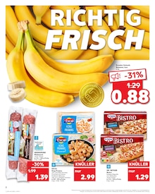 Kaufland Essen Prospekt der aktuellen Woche, gültig von 22.01.2026 bis 28.01.2026 Aktueller Kaufland Essen Prospekt "Aktuelle Angebote" mit 67 Seiten