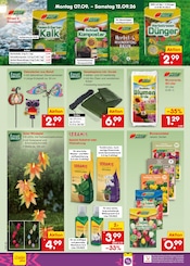 Saatgut im Netto Marken-Discount Prospekt in Neustadt Aktueller Netto Marken-Discount Prospekt mit Saatgut, "Aktuelle Angebote", Seite 44