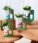 Kalanchoe Figurine Maîtresse - Super U à Arles Kalanchoe Figurine Maîtresse en promo chez Super U Arles à 6,99 €