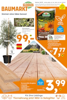 Gartenerde im Globus-Baumarkt Prospekt "Immer eine Idee besser" mit 24 Seiten (Salzgitter)