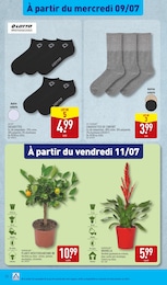 Offre Vêtements Femme dans le catalogue Aldi du moment à la page 32