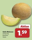 Galia Melonen bei combi im Apen Prospekt für 1,59 €