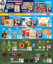 Sonnenblume im EDEKA Prospekt in Ingolstadt Aktueller EDEKA Prospekt mit Sonnenblume, "DAS BESTE DER WOCHE", Seite 6