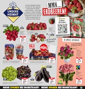 Aktueller Marktkauf Prospekt mit Erdbeeren, "Aktuelle Angebote", Seite 11