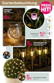 Aktueller PEPCO Prospekt mit Gartenbeleuchtung, "Liebe die günstigen Preise!", Seite 3