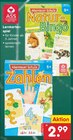 Lernkartenspiel im Angebot bei Netto Marken-Discount in Leverkusen Lernkartenspiel Angebote bei Netto Marken-Discount Leverkusen für 2,99 €