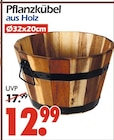 Pflanzkübel Angebote bei Wreesmann Görlitz für 12,99 €