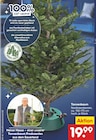 Aktuelles Tannenbaum Nordmanntannen Angebot bei Netto Marken-Discount in Delmenhorst ab 19,99 €