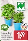 Kräutertopf Basilikum von Naturland für 1,49 € bei ALDI Nord im Angebot Kräutertopf Basilikum von Naturland im aktuellen ALDI Nord Prospekt
