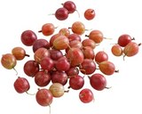 Stachelbeeren bei Kaufland im Ritterhude Prospekt für 2,99 €