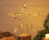 Hagebaumarkt Schwäbisch Hall - Gartenstecker „Stern“ Angebot im Prospekt Gartenstecker „Stern“ bei Hagebaumarkt im Schwäbisch Hall Prospekt für 14,99 €