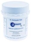 Delphin-Apotheke - SCHÜSSLER BIOSONO Nr.10 Tabletten Angebot im Prospekt SCHÜSSLER BIOSONO Nr.10 Tabletten bei Delphin-Apotheke im Prospekt "" für 5,69 €
