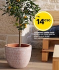 Cache-pot terre cuite en promo chez Gifi Cache-pot terre cuite dans le catalogue Gifi