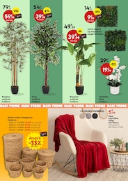 Offre Plantes dans le catalogue Maxi Bazar du moment à la page 4