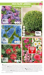 Offre Fleurs d'extérieur dans le catalogue Carrefour Market du moment à la page 5