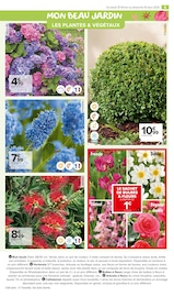 Hortensia Angebote im Prospekt "PROFITER ENFIN DE SON JARDIN : PLANTATIONS" von Carrefour Market auf Seite 5