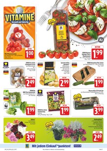 Kartoffeln im EDEKA Prospekt "Wir lieben Lebensmittel!" mit 38 Seiten (Chemnitz)