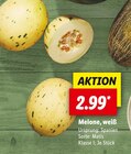 Melone, weiß im aktuellen Prospekt bei Lidl in Glinde, Kr Stormarn