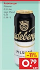 Pilsener im Angebot bei Netto Marken-Discount in Crimmitschau Pilsener Angebote von Radeberger bei Netto Marken-Discount Crimmitschau für 0,79 €