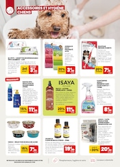 Promos Décoration dans le catalogue "À la rentrée, ça ronronne de bons plans !" de Animalis à la page 8