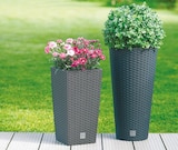 Blumentopf im Angebot bei Netto mit dem Scottie in Greifswald Blumentopf Angebote von Rato bei Netto mit dem Scottie Greifswald für 12,99 €
