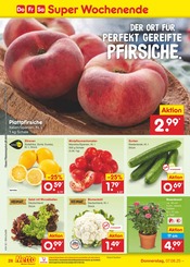 Aktueller Netto Marken-Discount Prospekt mit Blumenkohl, "Aktuelle Angebote", Seite 48