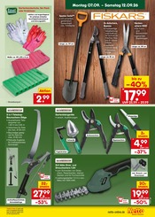 Ähnliche Zitronenbaum Angebote im Prospekt "Aktuelle Angebote" von Netto Marken-Discount in Norderstedt Ähnliche Angebote wie Zitronenbaum im Prospekt "Aktuelle Angebote" auf Seite 45 von Netto Marken-Discount in Norderstedt