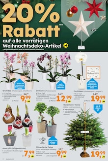 Prospectus Globus-Baumarkt à La Breme d'Or, "GLOBUS BAUMARKT Immer eine Idee besser", 19 pages de promos valables du 16/12/2024 au 21/12/2024