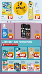 REWE Parfum im Prospekt 