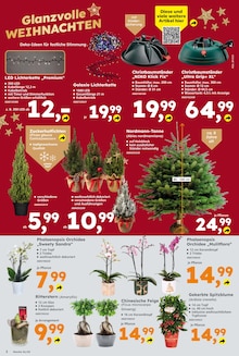 Globus-Baumarkt Pforzheim Prospekt der aktuellen Woche, gültig von 14.12.2025 bis 20.12.2025 Aktueller Globus-Baumarkt Pforzheim Prospekt "Immer eine Idee besser" mit 12 Seiten