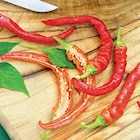 Milde Peperoni von  im aktuellen Dehner Garten-Center Prospekt für 2,99 €