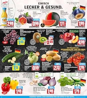 Tomaten im HIT Prospekt in Laatzen Aktueller HIT Prospekt mit Tomaten, "ECHTE VIELFALT", Seite 2