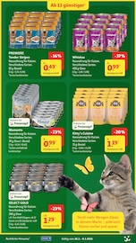 Whiskas Katzennahrung im Fressnapf Prospekt in Bremen Aktueller Fressnapf Prospekt mit Whiskas Katzennahrung, "Jetzt wird’s Frühling", Seite 11