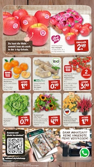 Äpfel im nahkauf Prospekt "nichts liegt näher" mit 8 Seiten (Göttingen)