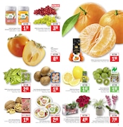 Pflanzen im Marktkauf Prospekt in Ludwigsburg Aktueller Marktkauf Prospekt mit Pflanzen, "Aktuelle Angebote", Seite 5