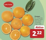 combi Alfhausen - Orangen Angebot im Prospekt Orangen bei combi im Alfhausen Prospekt für 2,22 €
