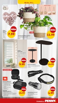 Pflanzen im Penny Prospekt "Wer günstig will, muss Penny." mit 46 Seiten (Stuttgart)