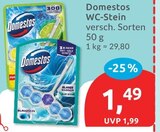 WC-Stein Angebote von Domestos bei budni Buchholz für 1,49 €