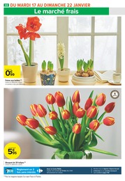 Prix et réduction Bricolage et Jardin dans le prospectus Carrefour Market en cours Offre Bricolage et Jardin dans le catalogue Carrefour Market du moment à la page 32