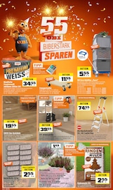 Leiter im OBI Prospekt in Fulda Aktueller OBI Prospekt mit Leiter, "BIBERSTARK SPAREN", Seite 1
