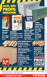 BAUHAUS Mixer im Prospekt 