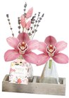 Composition Fleuron d'orchidée - Carrefour à Sarcelles Composition Fleuron d'orchidée en promo chez Carrefour Sarcelles à 8,99 €