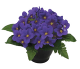 Violette artificielle en pot en promo chez Truffaut Violette artificielle en pot dans le catalogue Truffaut