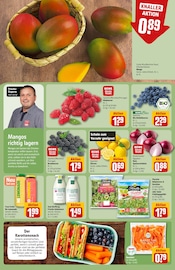 Salat im REWE Prospekt in Kassel Aktueller REWE Prospekt mit Salat, "Dein Markt", Seite 6