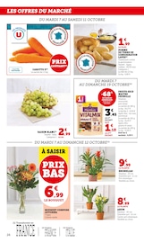 Plante Verte Angebote im Prospekt "U Express" von U Express auf Seite 24