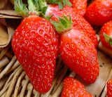 Promo Fraisier à  dans le catalogue Point Vert à Tonnay-Boutonne