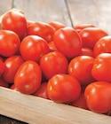 Tomate allongée - Intermarché à Poitiers Tomate allongée en promo chez Intermarché Poitiers à 1,99 €