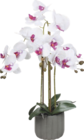 Orchidée artificielle - HOME CREATION en promo chez Aldi Champigny-sur-Marne à 12,99 €