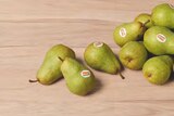 Bio-Birnen Williams von demeter im aktuellen tegut Prospekt